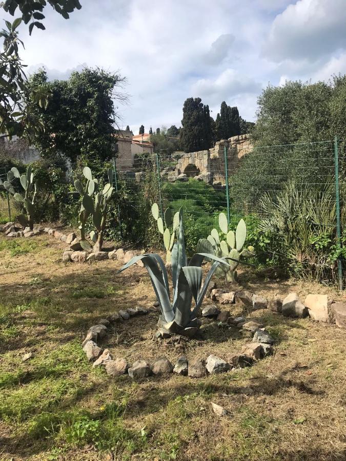 A Casa Di Peppino Villa Greco Tyndaris Exteriör bild