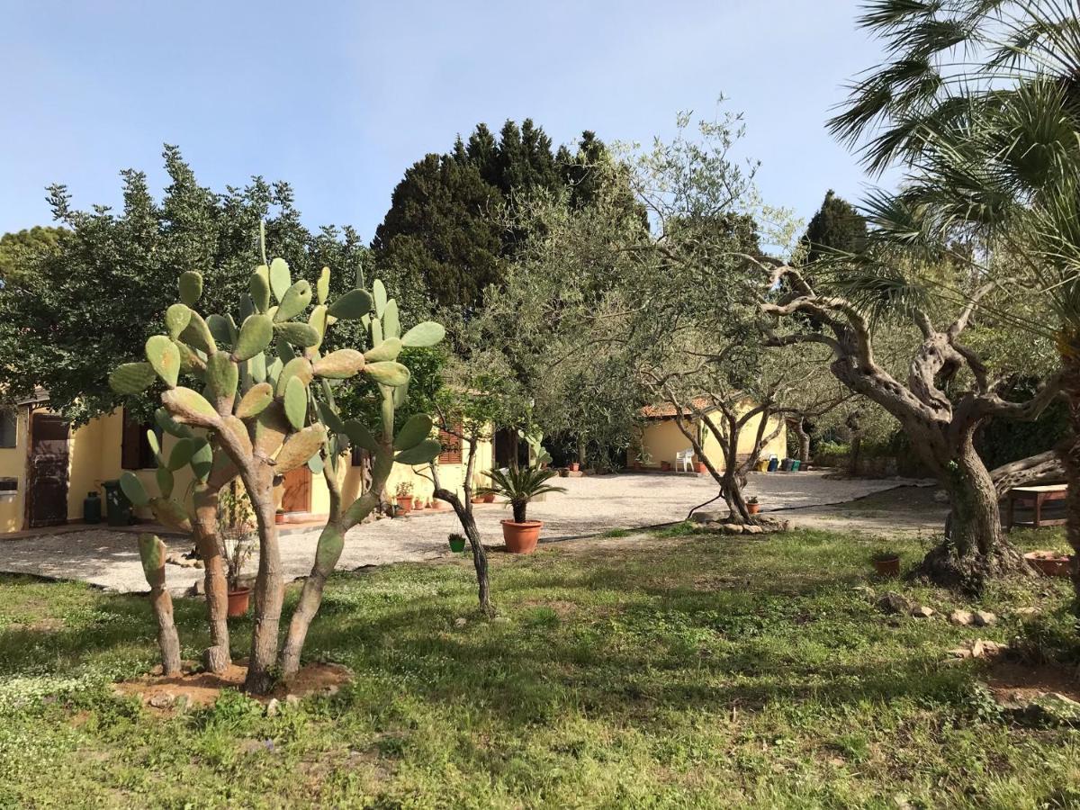 A Casa Di Peppino Villa Greco Tyndaris Exteriör bild