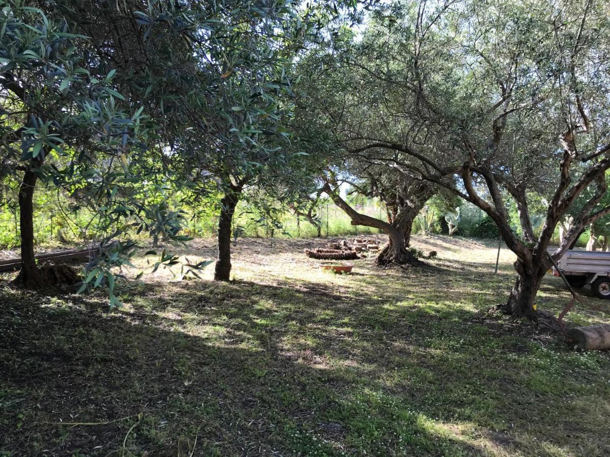A Casa Di Peppino Villa Greco Tyndaris Exteriör bild