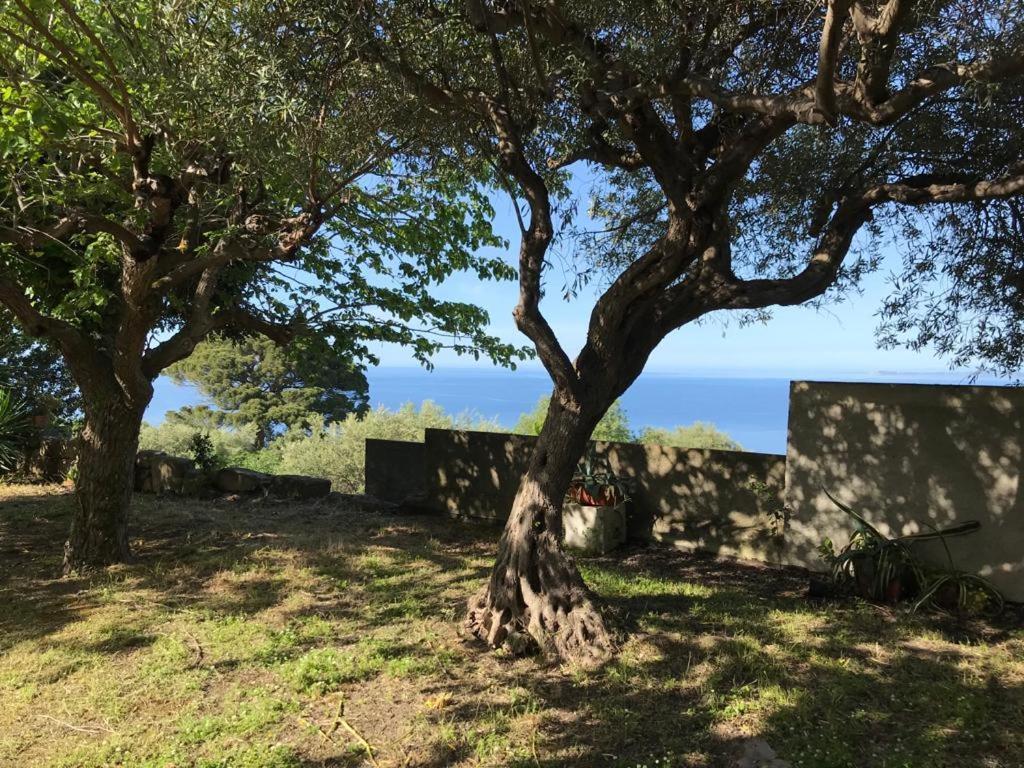A Casa Di Peppino Villa Greco Tyndaris Exteriör bild