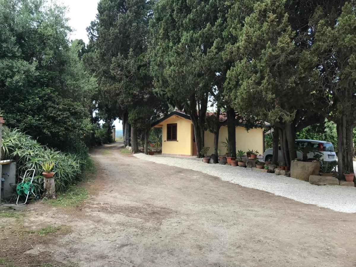 A Casa Di Peppino Villa Greco Tyndaris Exteriör bild
